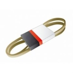 Courroie tondeuse CASTELGARDEN - GGP 35063902/0 - 1350639020