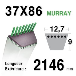 Courroie tondeuse autoportée MURRAY 37x86 - 037x86ma - 3700086 38" lt