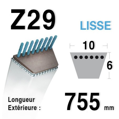 Courroie Z29 - 10 mm x 775 mm