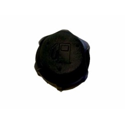 Bouchon de réservoir à essence BRIGGS ET STRATTON 497929