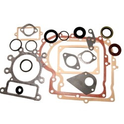 Joints moteur BRIGGS ET STRATTON 495993