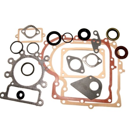 Joints moteur BRIGGS ET STRATTON 495993