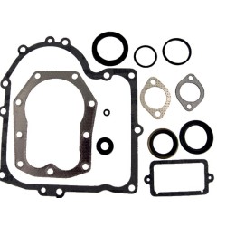 Joints moteur BRIGGS ET STRATTON 490525 - 494241