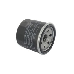 Filtre à huile BRIGGS et STRATTON 820314