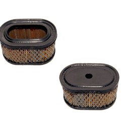 Filtre à air BRIGGS ET STRATTON 494586 - 497725