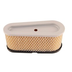 Filtre à air BRIGGS ET STRATTON 496894 - 493909 - 496894s
