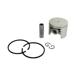 Piston complet ALPINA - CASTOR 8540960