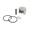 Piston complet ALPINA - CASTOR 8540960