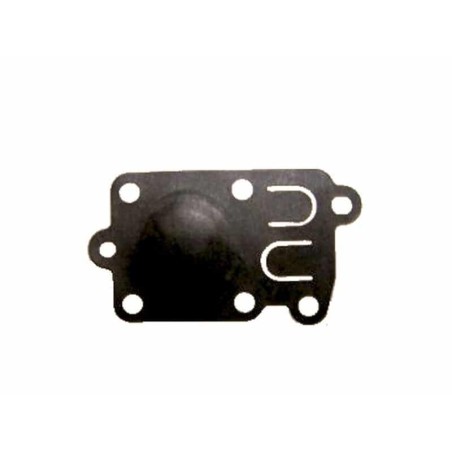 Membrane pompe BRIGGS ET STRATTON 272538