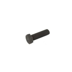 Vis de lame 32 mm - pas à gauche AYP 165484