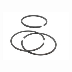 Segment BRIGGS ET STRATTON 391780 - 394665 - 394959