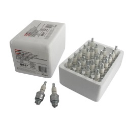 Pack atelier de 24 Bougie d'allumages CHAMPION J19LM/24
