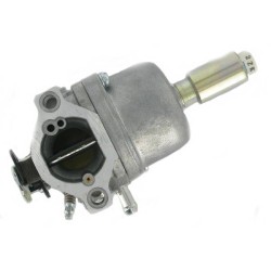 Carburateur Briggs et Stratton 698620 - 799727