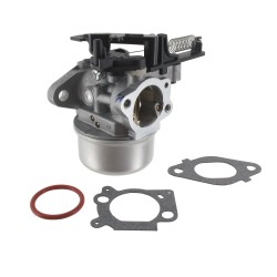 Carburateur BRIGGS ET STRATTON 799226