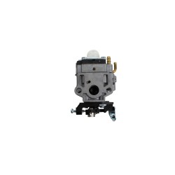 Carburateur GGP - CASTELGARDEN 123054036/0