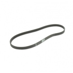 Courroie POLY-V F6PJ608 - 608mm