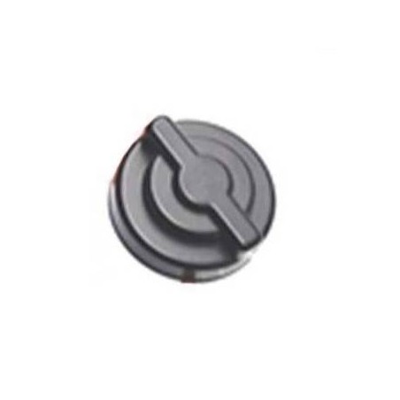 Valve Honda 80067-VK1-003 - 80067VK1003