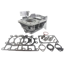 Culasse BRIGGS ET STRATTON 796026