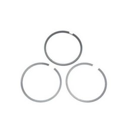 Segment Briggs et Stratton 590402