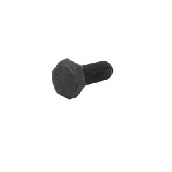 Vis de lame GGP - CASTELGARDEN 9991-1024-19
