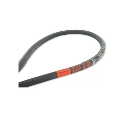Courroie hexagonale BB120,25 3165mm