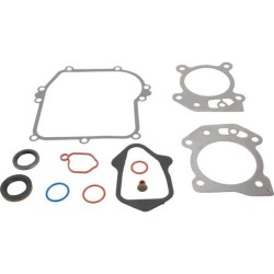 Joints moteur BRIGGS ET STRATTON 595350 - 592640