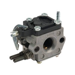 Carburateur ALPINA 4153060 - 4153069