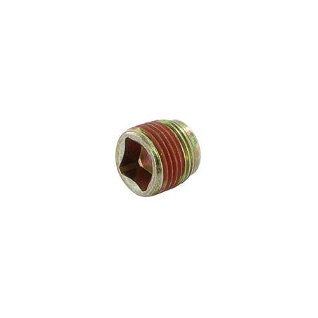 BOUCHON DE VIDANGE BRIGGS & STRATTON 691680