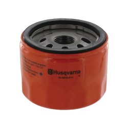 Filtre à huile BRIGGS ET STRATTON 798576