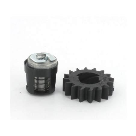 Kit pignon BRIGGS ET STRATTON 495877 - 696539 - 490467