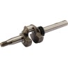 Vilebrequin avec roulements BRIGGS ET STRATTON 590538