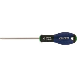 Tournevis TT30x125 EXPERT E165398