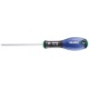 Tournevis T27x100 EXPERT E160509