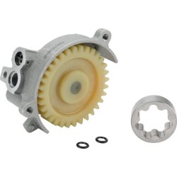 Pompe à huile BRIGGS ET STRATTON 843825