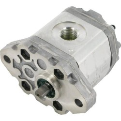 Pompe a engrenage ETESIA ET27080
