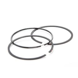 Segment BRIGGS et STRATTON 696403