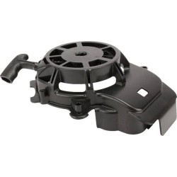 Lanceur BRIGGS ET STRATTON 594062
