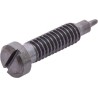 Kit pointeau ralenti BRIGGS ET STRATTON 494383