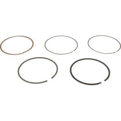 Kit de segments BRIGGS ET STRATTON 843806