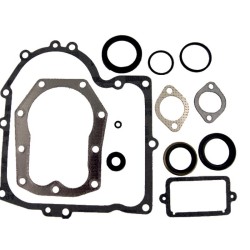 Kit de joints BRIGGS ET STRATTON 494241