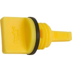Joint et jauge BRIGGS ET STRATTON 798503
