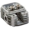 Culasse BRIGGS ET STRATTON 809200WM