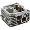 Culasse BRIGGS ET STRATTON 809200WM