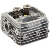 Culasse BRIGGS ET STRATTON 809200WM