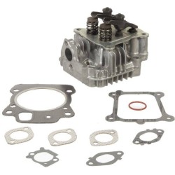 Culasse BRIGGS ET STRATTON 592175 - 84004354
