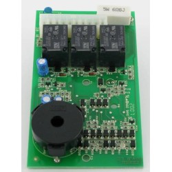 Circuit imprimé CASTELGARDEN 1257224301