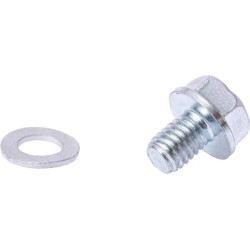 Vis de carburateur BRIGGS ET STRATTON 592493