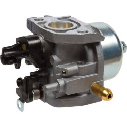 Carburateur AL-KO AK411907