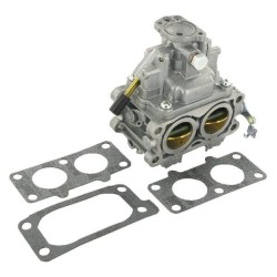 Carburateur BRIGGS ET STRATTON 844369