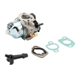 Carburateur BRIGGS ET STRATTON 797283